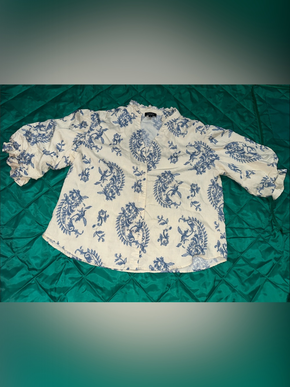 Women’s  Beige and Blue Floral Print Top